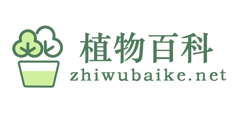 植物百科